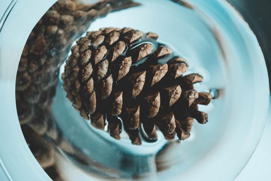 I Give You 10 Tips How To Take Amazing Photos Of A Boring Object! I Give You 10 Tips How To Take Amazing Photos Of A Boring Object!