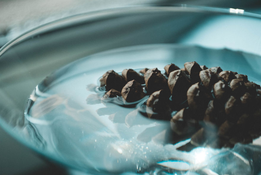 I Give You 10 Tips How To Take Amazing Photos Of A Boring Object!