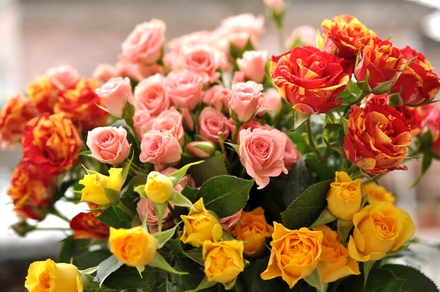 I Make Resin Jewelry Out Of Real Flowers