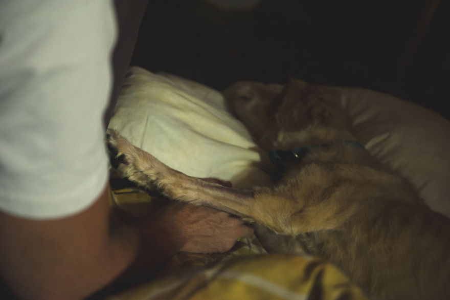 I Have Seen The Pure Love Between Us And Them I Have Seen The Pure Love Between Us And Them