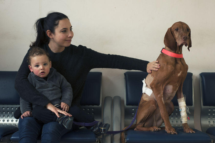 I Have Seen The Pure Love Between Us And Them I Have Seen The Pure Love Between Us And Them