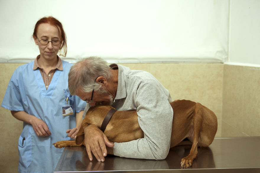 I Have Seen The Pure Love Between Us And Them I Have Seen The Pure Love Between Us And Them