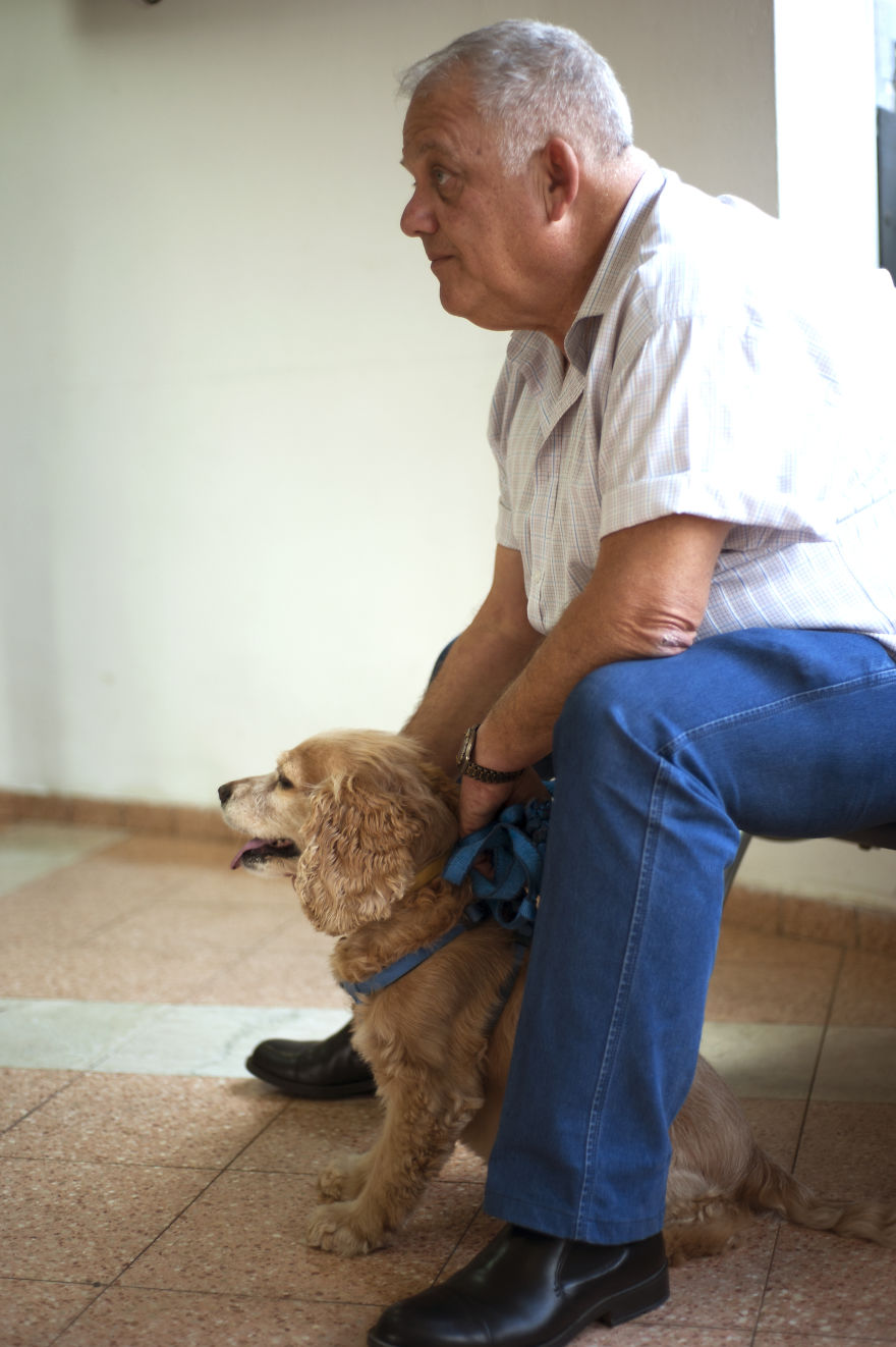 I Have Seen The Pure Love Between Us And Them I Have Seen The Pure Love Between Us And Them