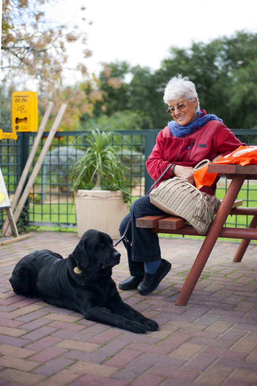 I Have Seen The Pure Love Between Us And Them I Have Seen The Pure Love Between Us And Them