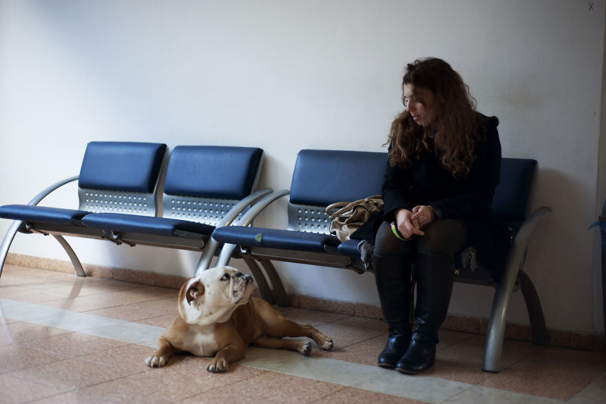 I Have Seen The Pure Love Between Us And Them I Have Seen The Pure Love Between Us And Them