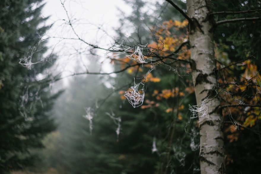 Incredible Temperature Inversion In The Karkonosze Mountains