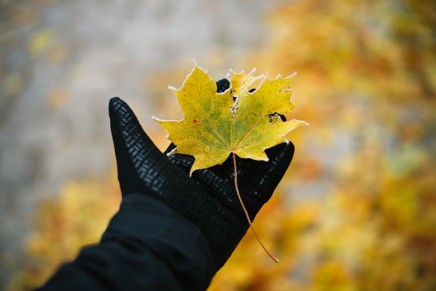 Incredible Temperature Inversion In The Karkonosze Mountains