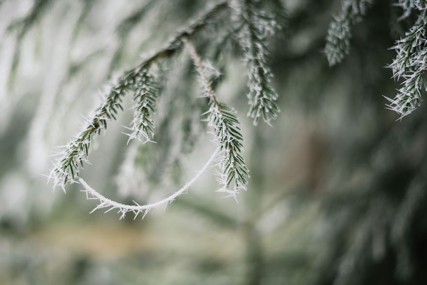 Incredible Temperature Inversion In The Karkonosze Mountains