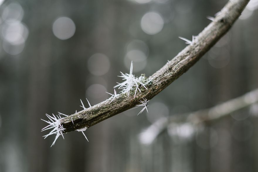 Incredible Temperature Inversion In The Karkonosze Mountains