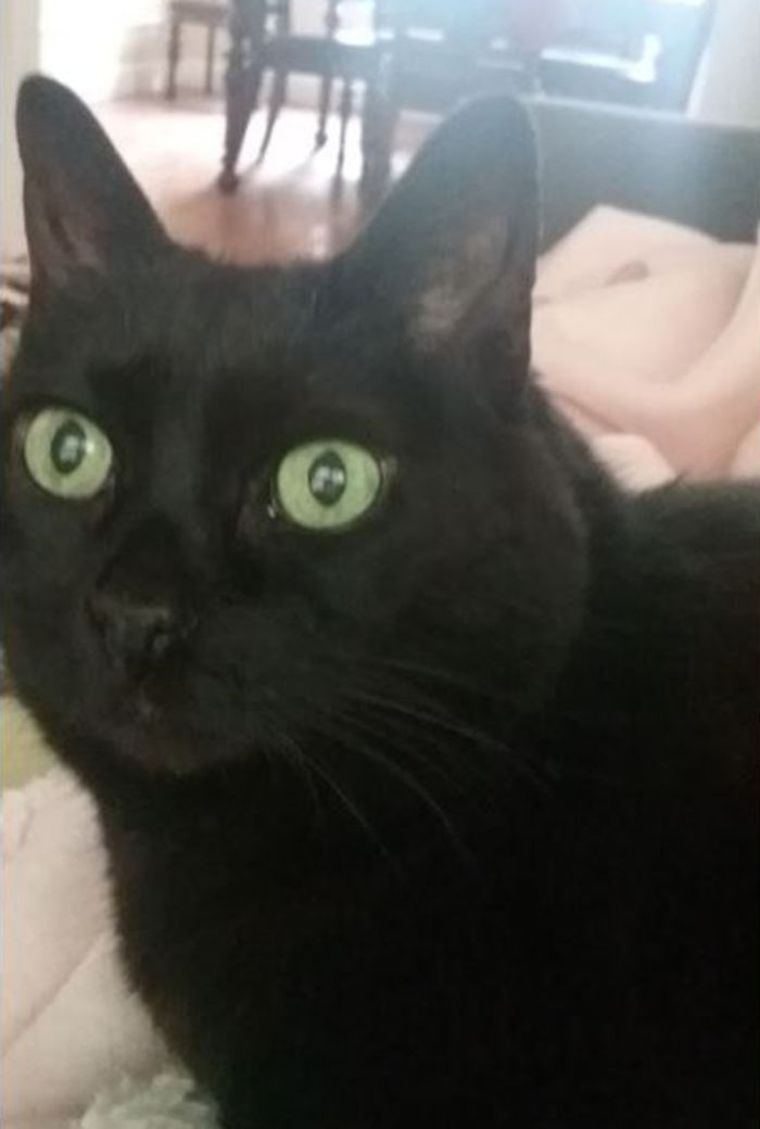 Daisy Serendipity - A Cleft Lip, But What A Beauty! Saved My Life In 2010. My Hero!