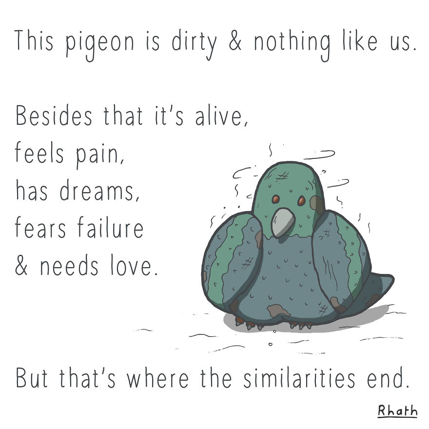 Lil' Pigeons Weigh In On Social Issues Lil' Pigeons Weigh In On Social Issues