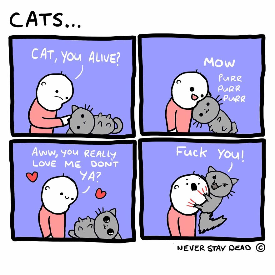 Funny, Cute, Sometimes Relatable, And Often Offensive Comics