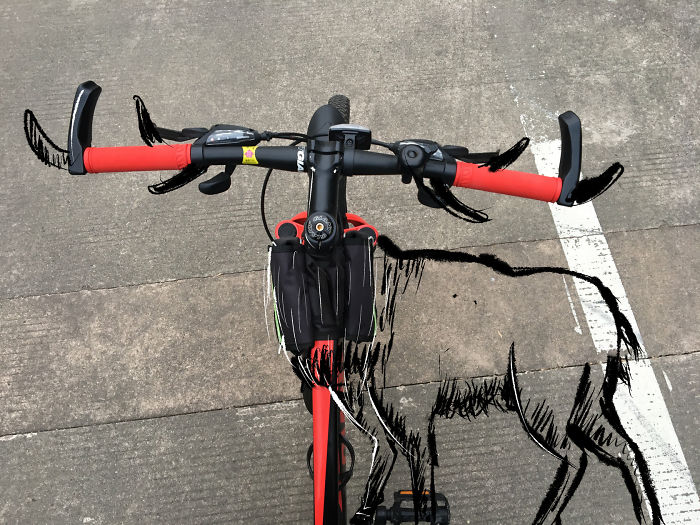 Find The Joy Of Life