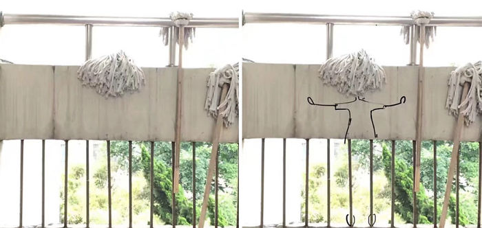 Find The Joy Of Life