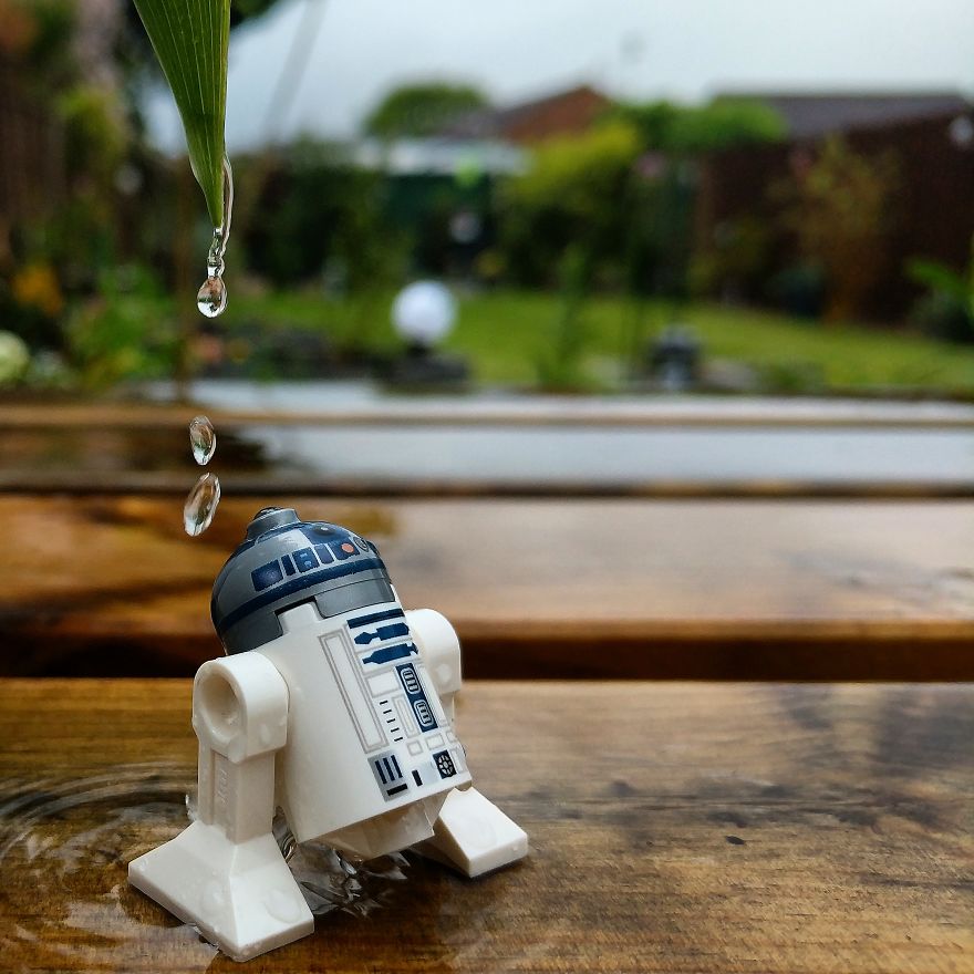 Gardening A New Found Hobby