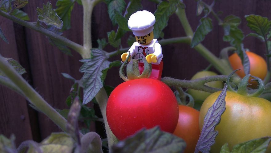 Gardening A New Found Hobby