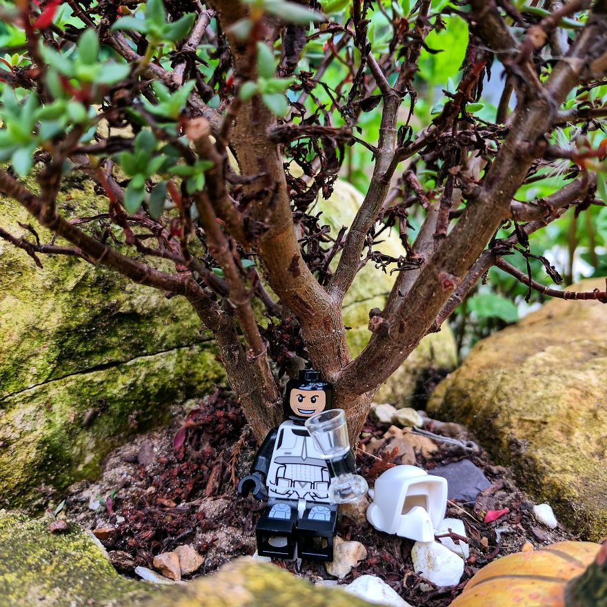 Gardening A New Found Hobby