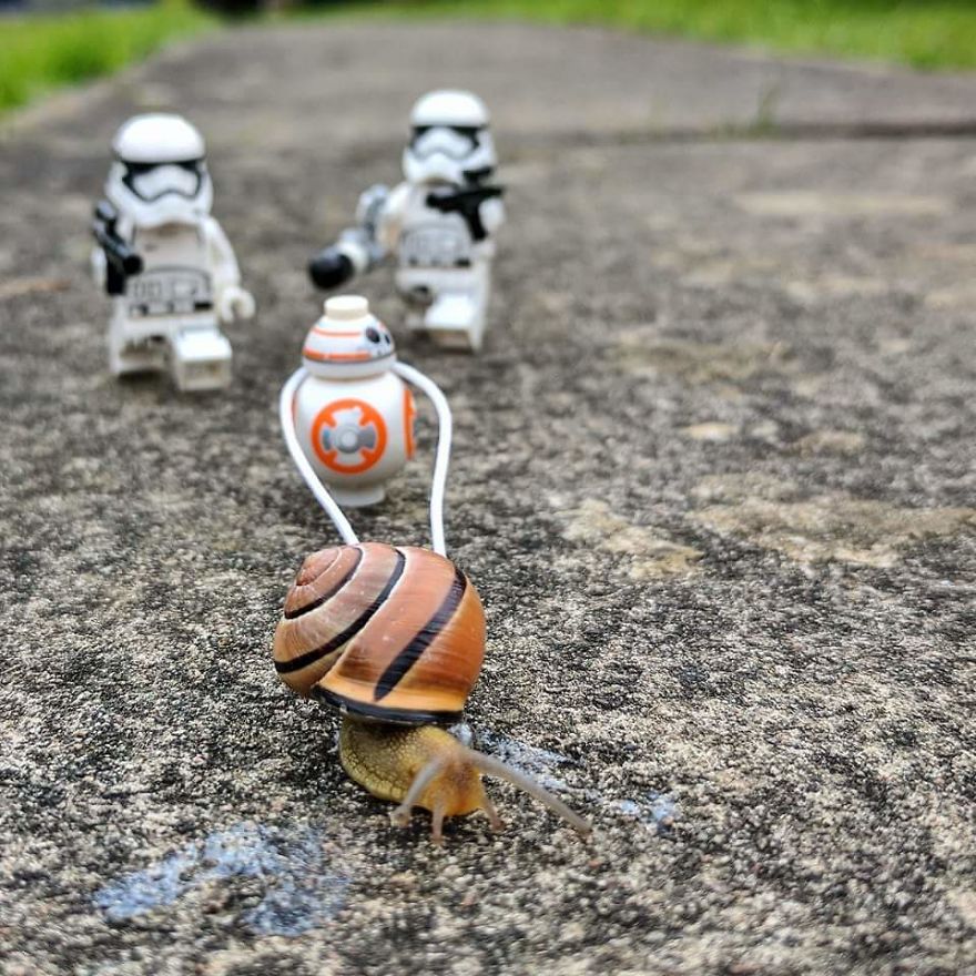 Gardening A New Found Hobby