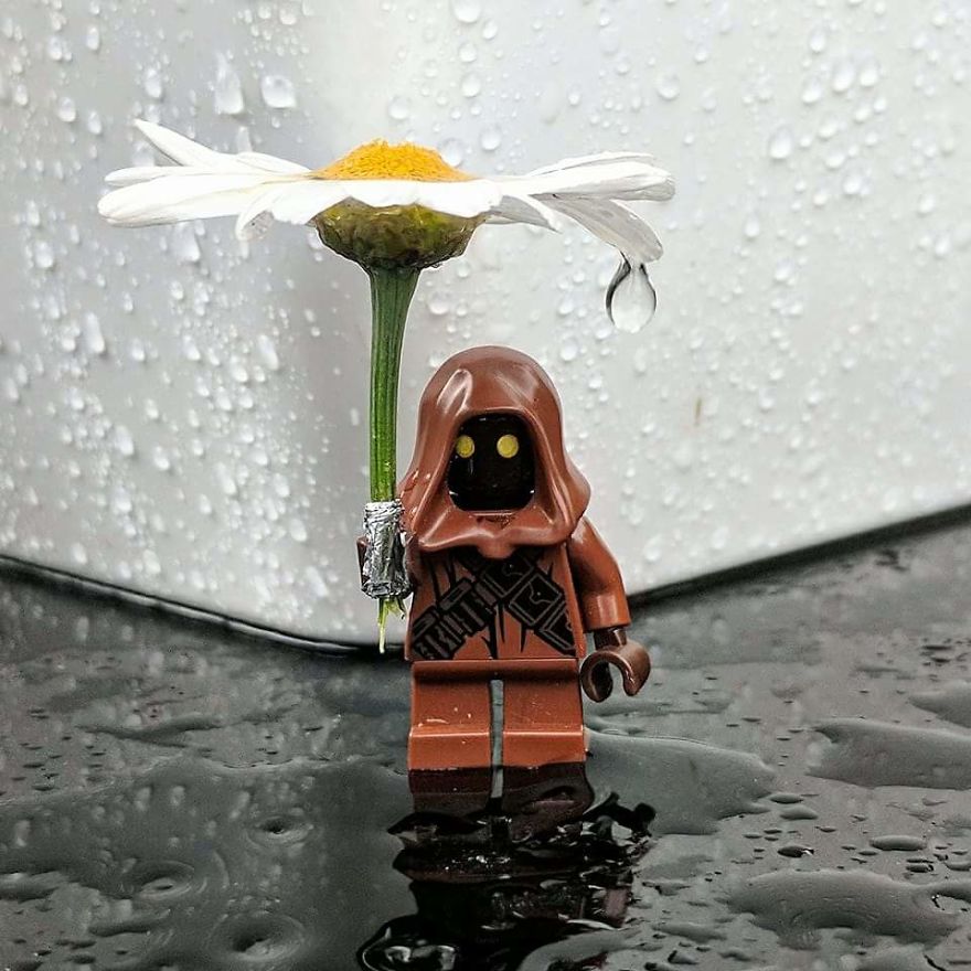 Gardening A New Found Hobby