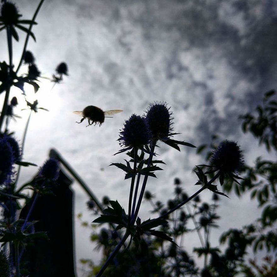 Gardening A New Found Hobby