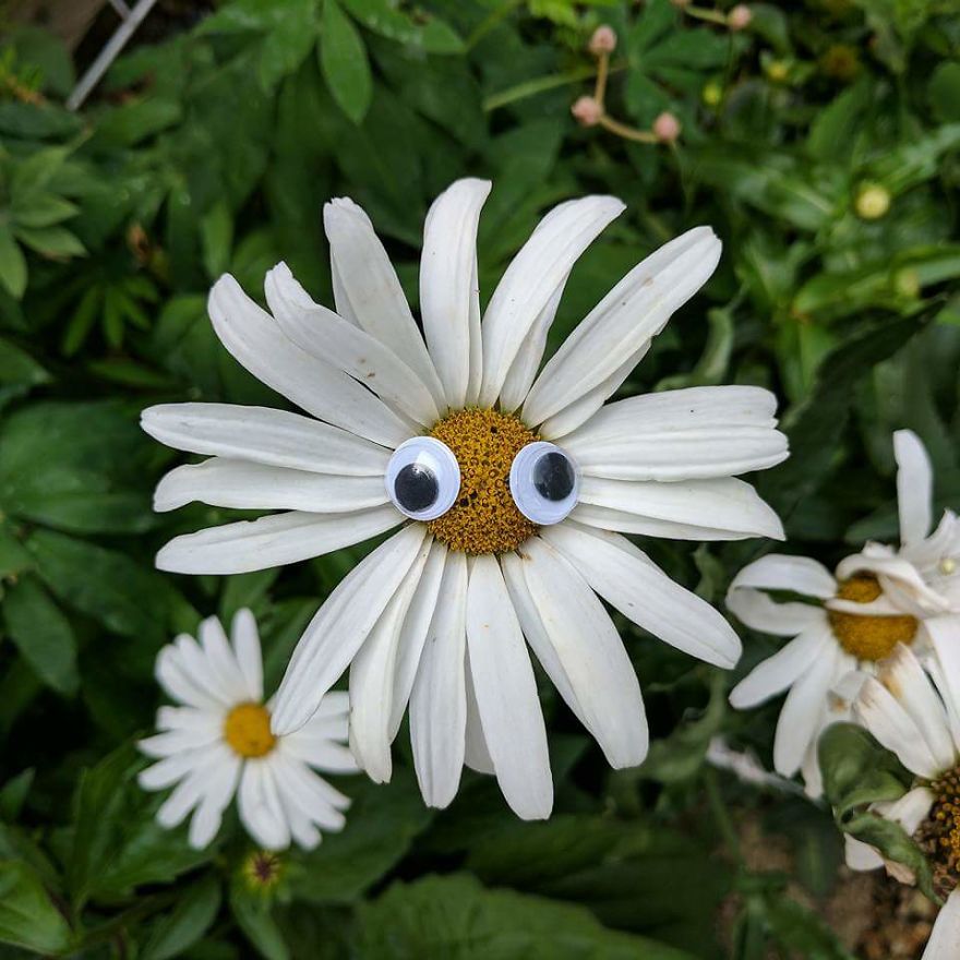 Gardening A New Found Hobby