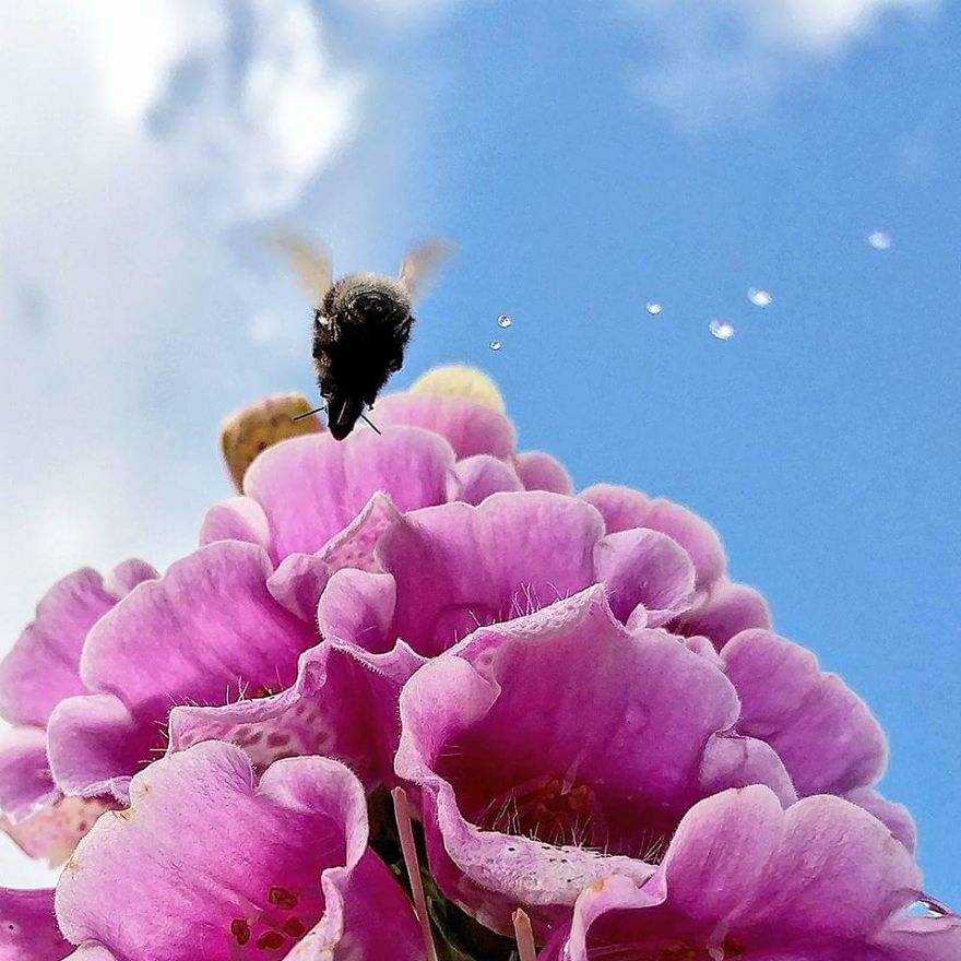 Gardening A New Found Hobby