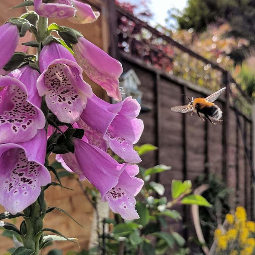 Gardening A New Found Hobby