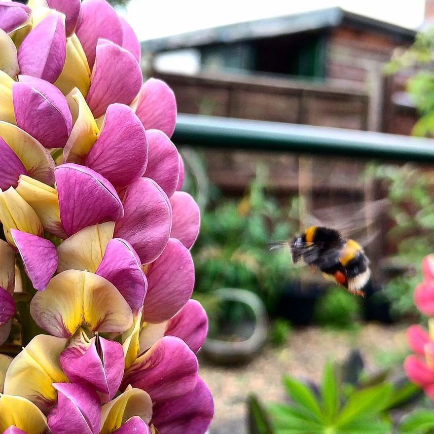 Gardening A New Found Hobby