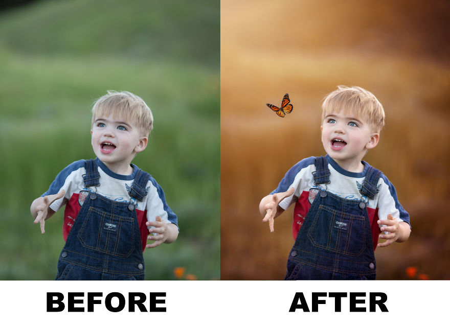 Photographer Uses Butterflies To Create A New Mini Photo Series Out Of Old "Unusable" Images