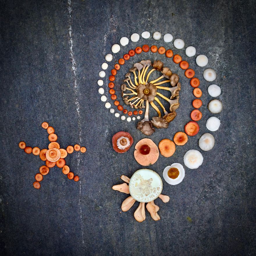 #3 Dreaming Of Diving