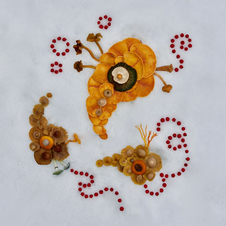 #11 Floating On Snow