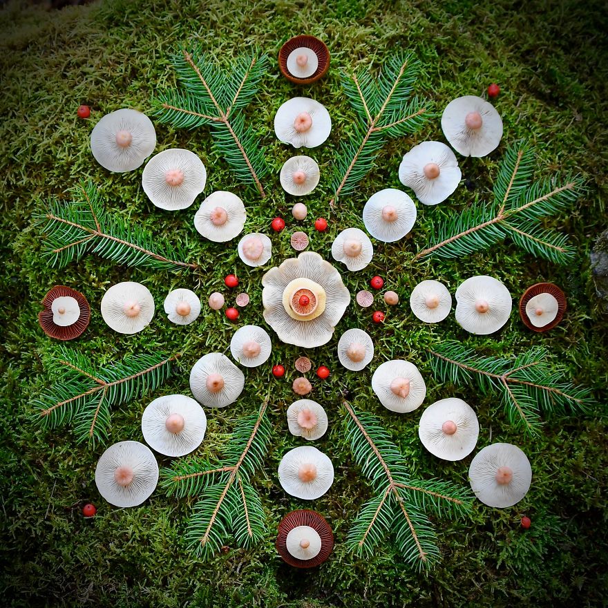 #9 We're All Made Of Stars