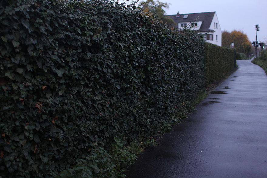 I Found Beautiful Locations In My Boring Neighborhood