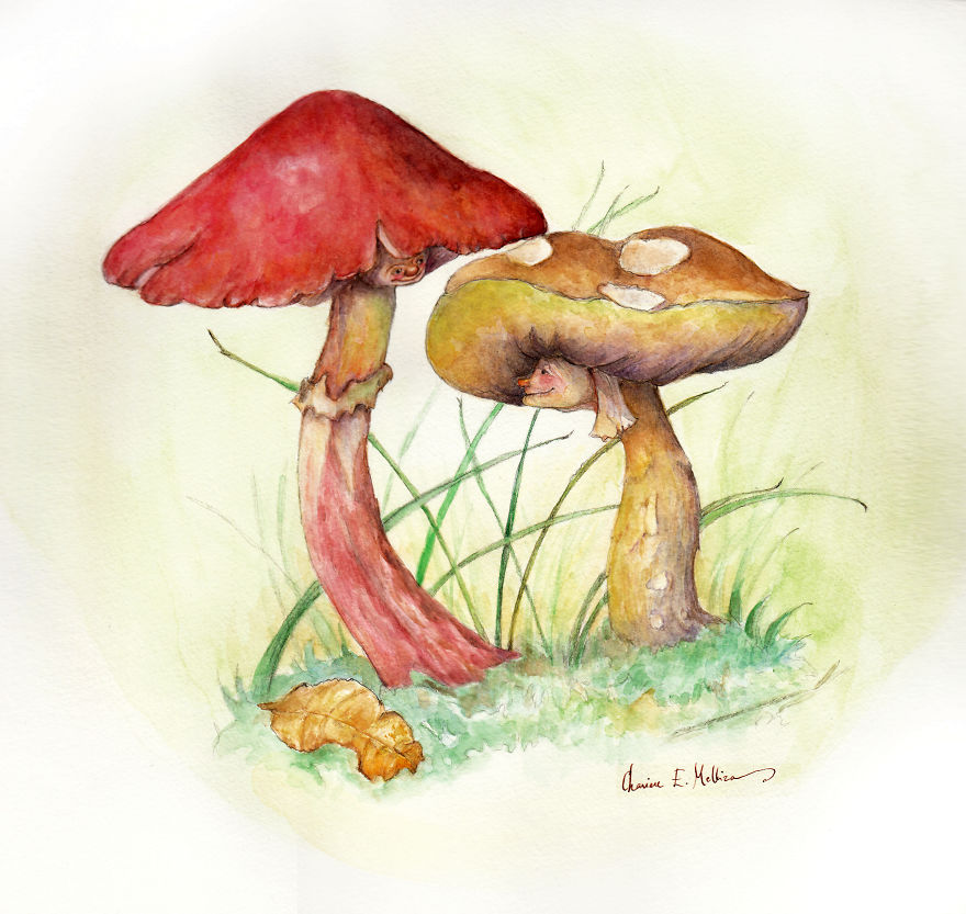 I Illustrate Fairies And Whimsical Creatures. I Am A Magic Maker!