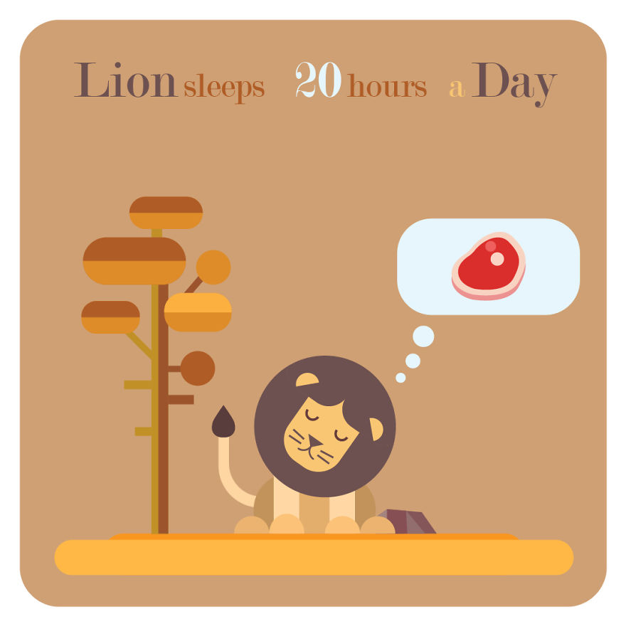 I Post Funny Facts And Vector Flat Designs On Instagram