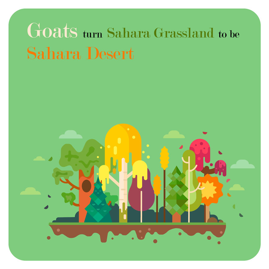 I Post Funny Facts And Vector Flat Designs On Instagram