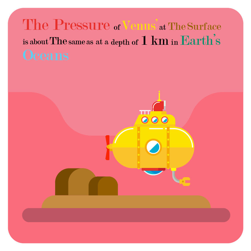 I Post Funny Facts And Vector Flat Designs On Instagram I Post Funny Facts And Vector Flat Designs On Instagram