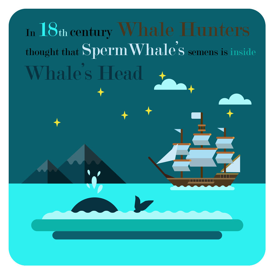 I Post Funny Facts And Vector Flat Designs On Instagram