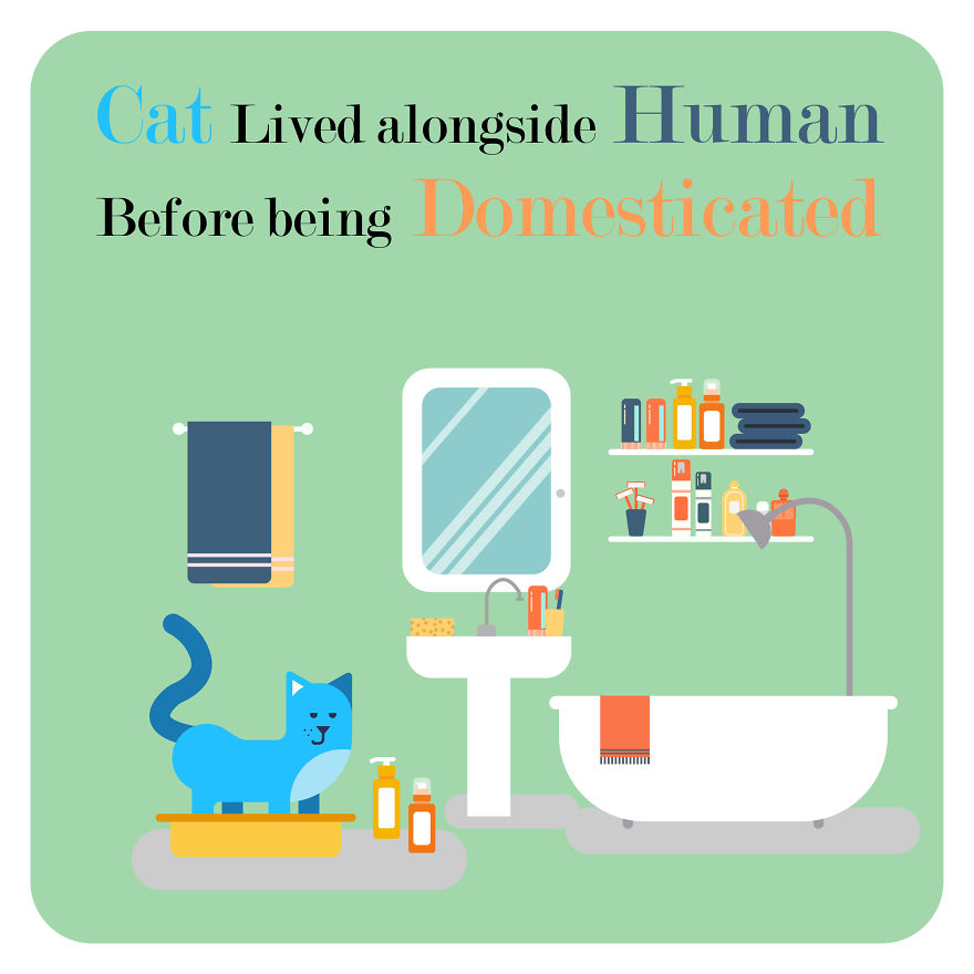 I Post Funny Facts And Vector Flat Designs On Instagram