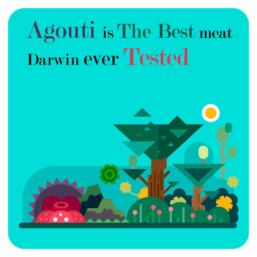 I Post Funny Facts And Vector Flat Designs On Instagram I Post Funny Facts And Vector Flat Designs On Instagram