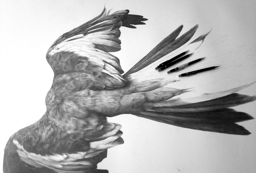 I Ripped This Illustration In Half