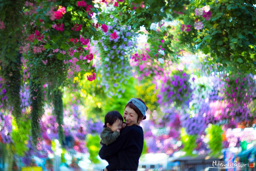 My Pictures Look Like Paintings Because I Use An Old Lens