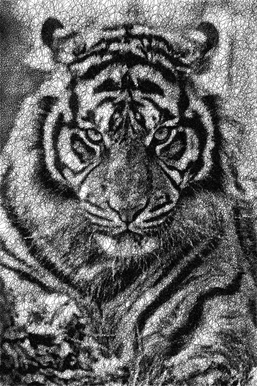 I Spend 9 Months Developing An Algorithm That Can Draw