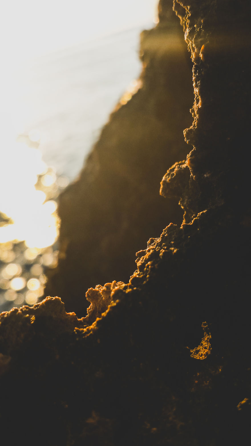 I Took Some Pictures With My Smartphone, While They Are Talking About Cheap Dlsr ...