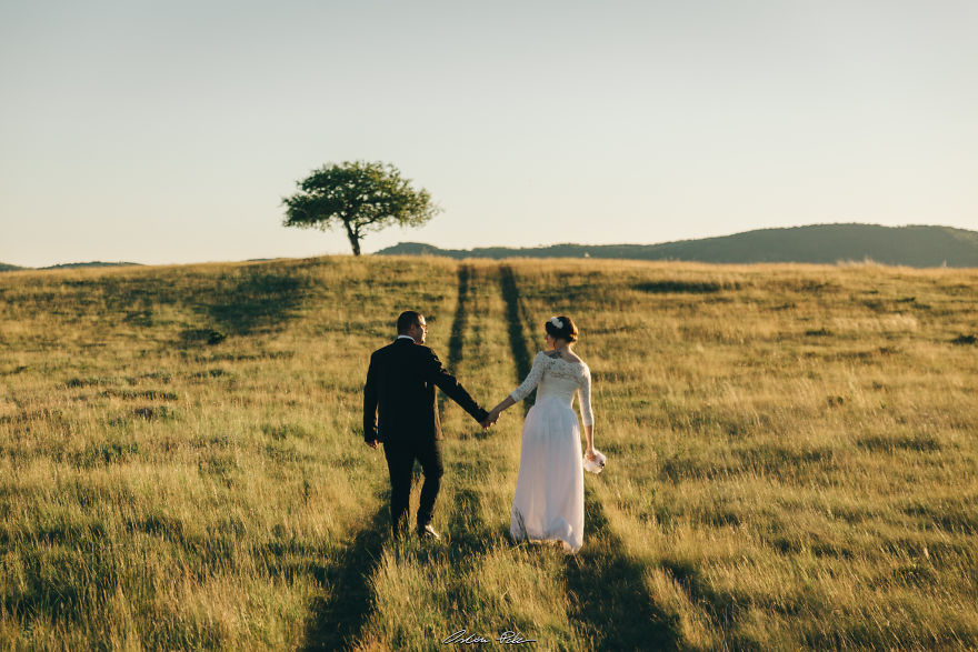 I Spent Years To Photograph The Exact Same Tree, But The Result Is Very Different.