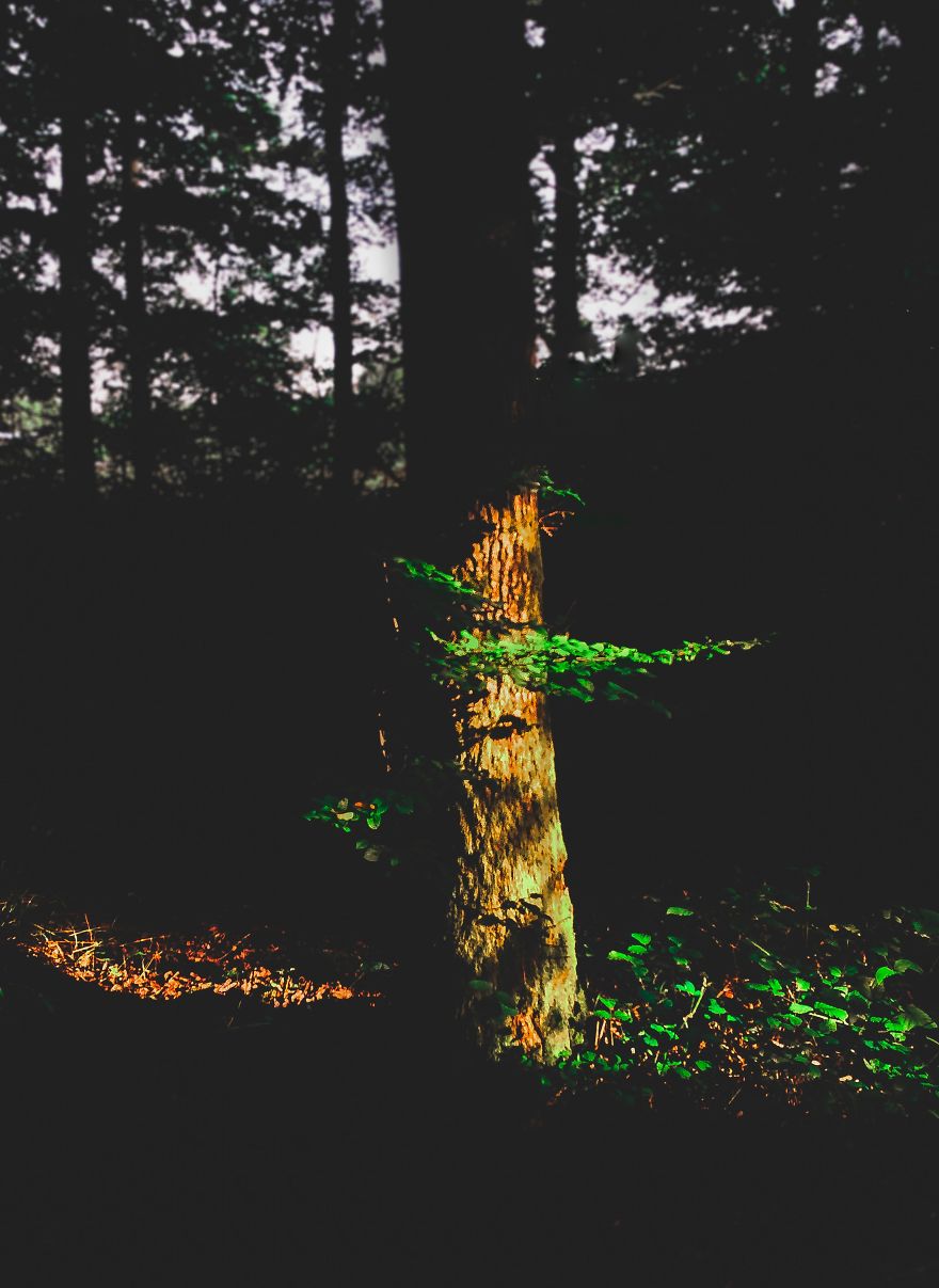 I Took Some Pictures With My Smartphone, While They Are Talking About Cheap Dlsr ...