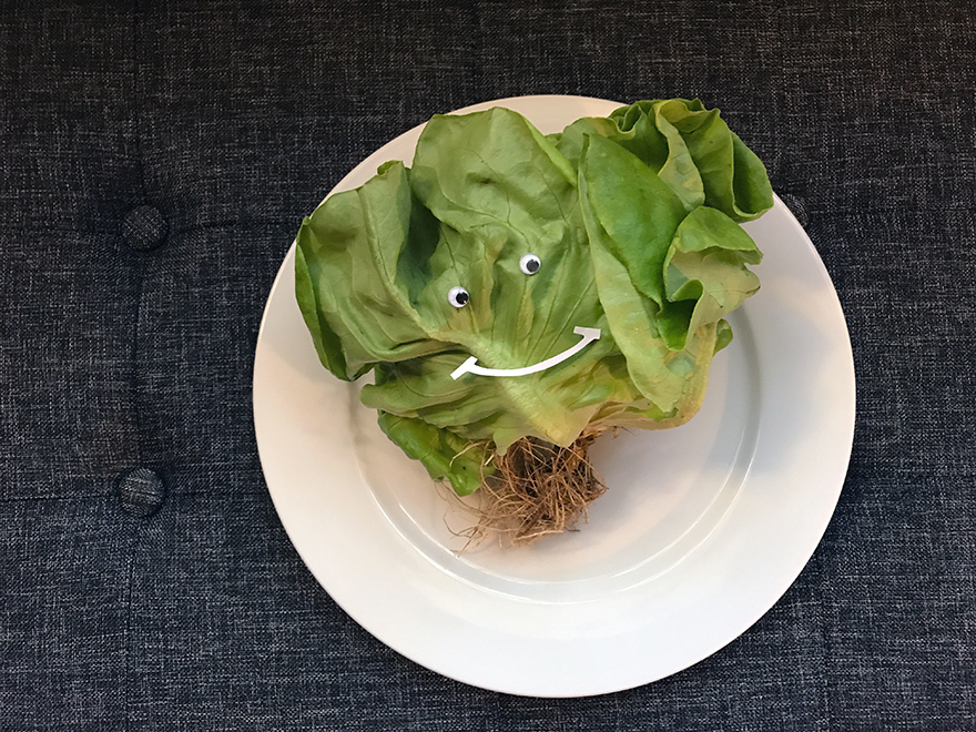 I Play With My Food By Adding Googly Eyes To Everything