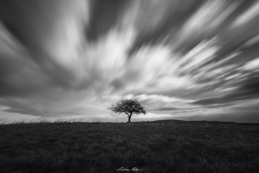I Spent Years To Photograph The Exact Same Tree, But The Result Is Very Different. I Spent Years To Photograph The Exact Same Tree, But The Result Is Very Different.