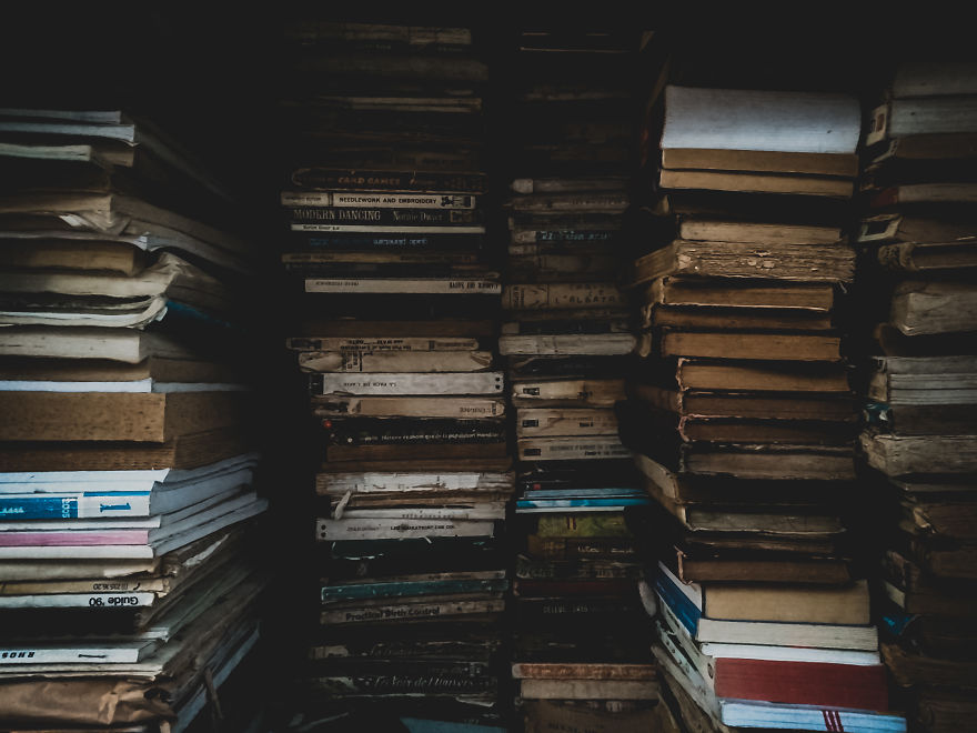 I Took Some Pictures With My Smartphone, While They Are Talking About Cheap Dlsr ...