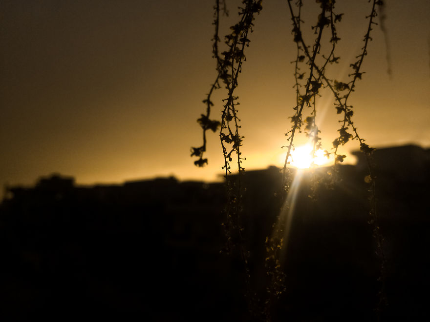 I Took Some Pictures With My Smartphone, While They Are Talking About Cheap Dlsr ...